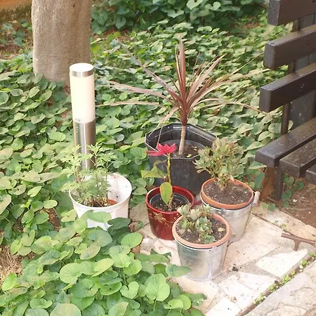 Apartament Gracijela